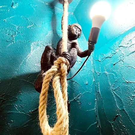 Le Jungle **** Nîmes