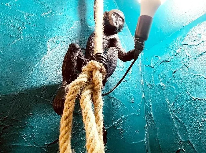 Le Jungle **** Nîmes